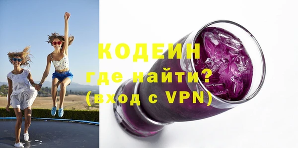 прущие грибы Алзамай