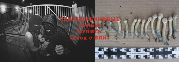 прущие грибы Алзамай