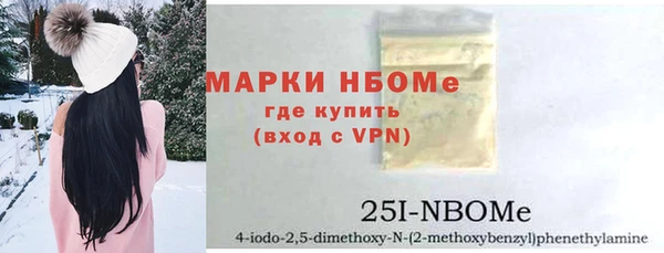 прущие грибы Алзамай
