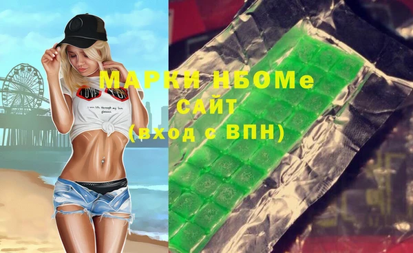 прущие грибы Алзамай