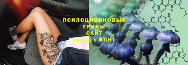 прущие грибы Алзамай