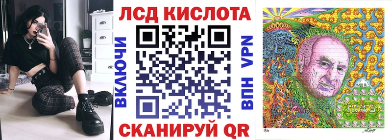 kraken как зайти  Зверево  Наркотические марки 1,8мг 